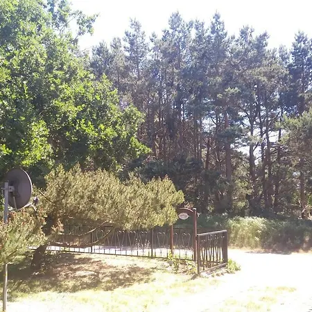 Vakantiehuis Ferienhaeuschen Born