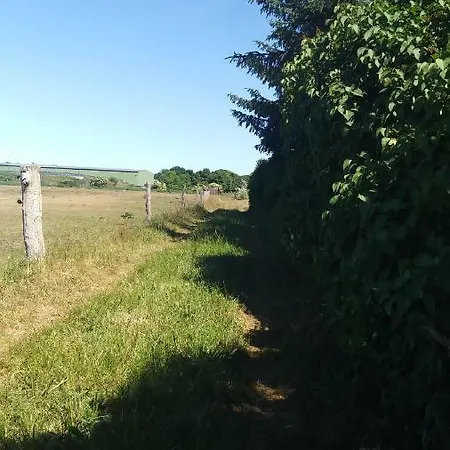 Ferienhaeuschen Vakantiehuis Born