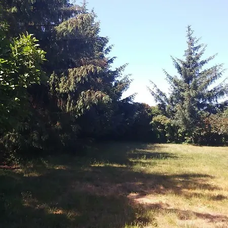 Ferienhaeuschen Born