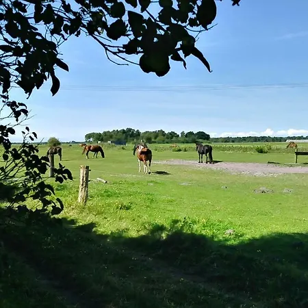 Ferienhaeuschen Vakantiehuis
