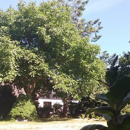 Vakantiehuis Ferienhaeuschen Born