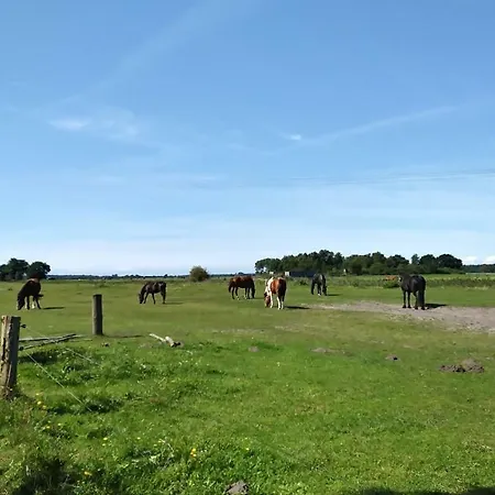 Ferienhaeuschen Vakantiehuis *