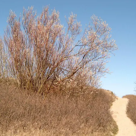 Ferienhaeuschen Vakantiehuis Born