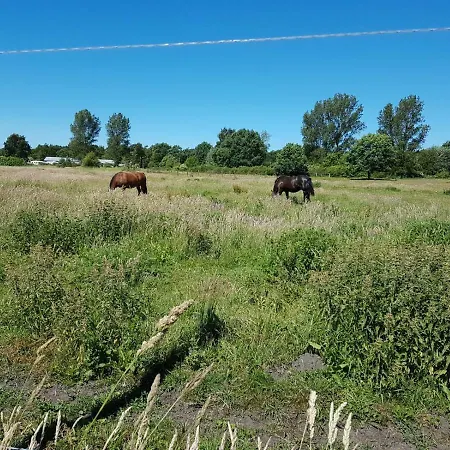 Ferienhaeuschen
