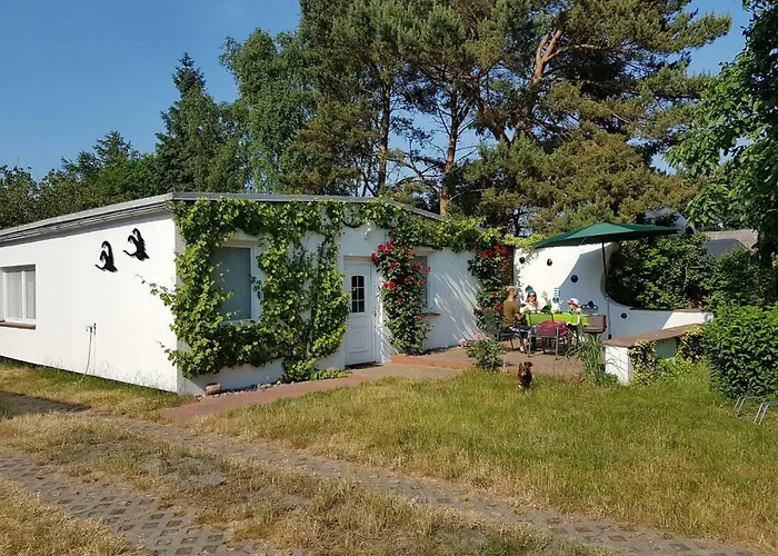 Ferienhaeuschen 펜션 *