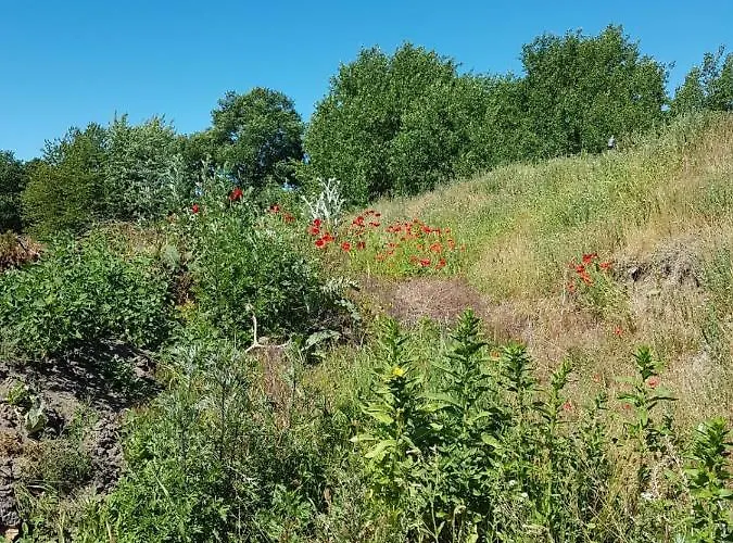 Ferienhaeuschen 펜션 *