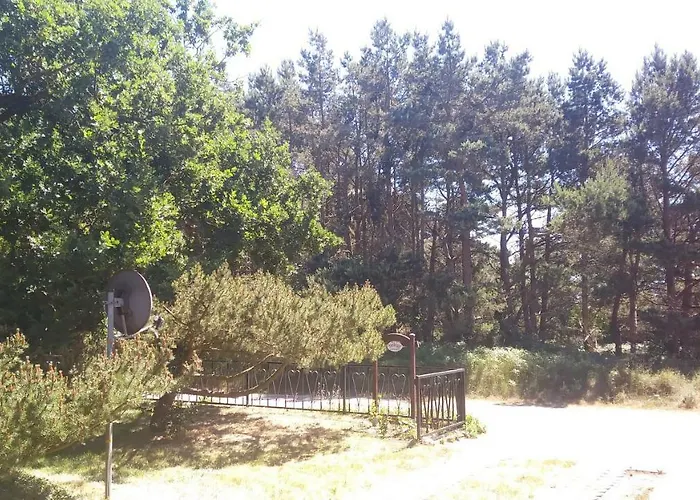 펜션 Ferienhaeuschen 보른