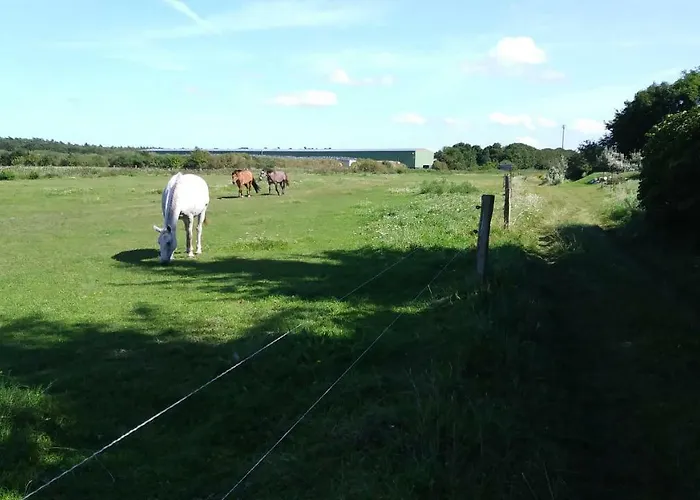 Ferienhaeuschen 펜션 보른