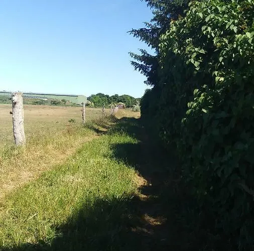 Ferienhaeuschen 펜션 보른