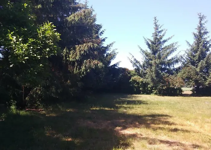 Ferienhaeuschen 보른