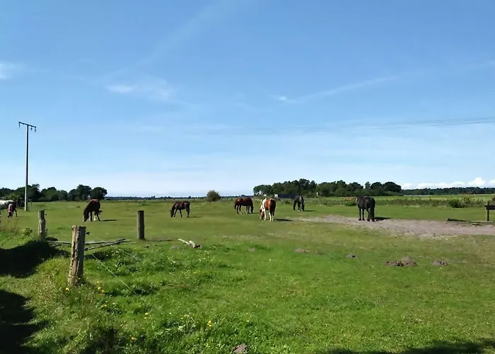 Ferienhaeuschen 펜션 *