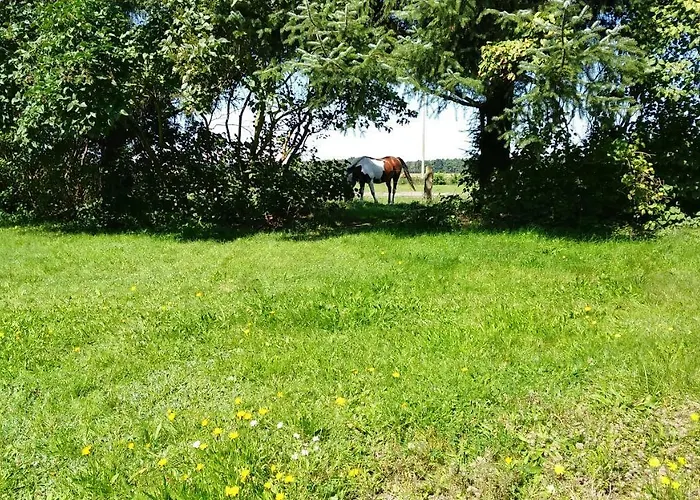 Ferienhaeuschen * 보른