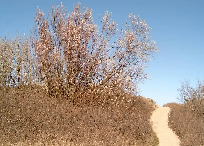 Ferienhaeuschen 펜션 보른