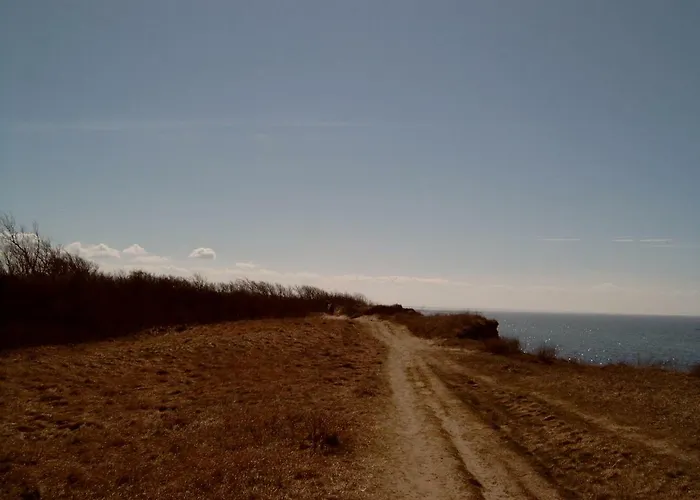 Ferienhaeuschen 펜션 보른