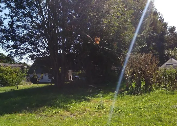 펜션 Ferienhaeuschen 보른